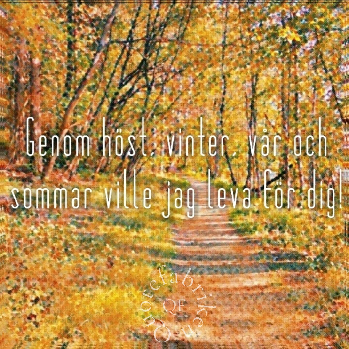 Höst vinter vår sommar